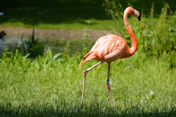 "Blaue Stunde in Düsseldorf" (2017)